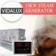 Vidalux 15kw Steam Room Generator